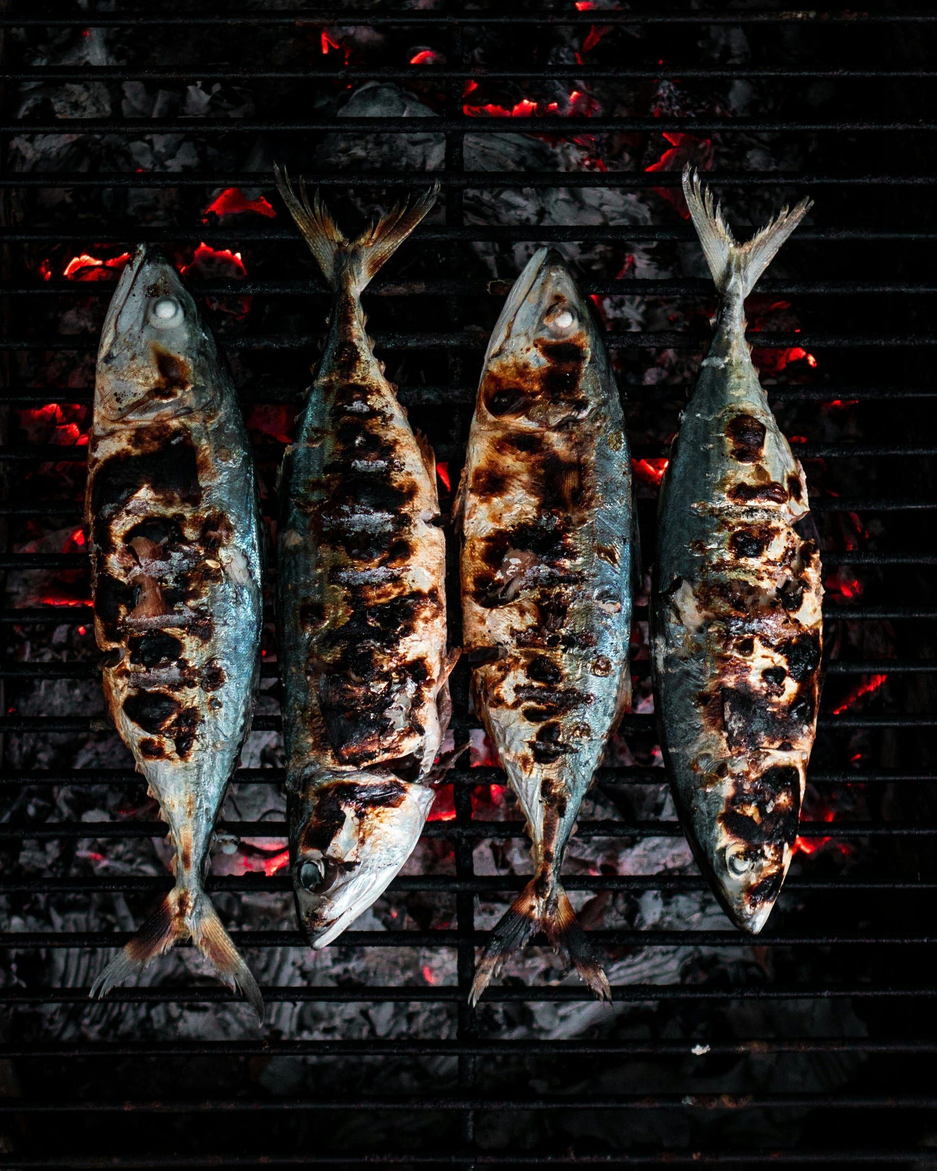 Four whole fish grilling over glowing charcoal, photographed from above.